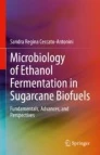 Microbiology of ethanol fermentation in sugarcane biofuels : fundamentals, advances, and perspectives image