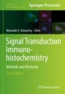 Signal Transduction Immunohistochemistry image