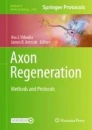 Axon Regeneration圖片