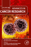 Pancreatic Cancer : basic mechanisms and therapies image