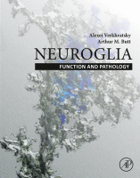 Neuroglia : function and pathology image
