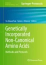 Genetically Incorporated Non-Canonical Amino Acids image