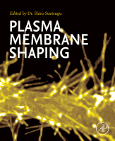 Plasma membrane shaping image