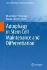 Autophagy in stem cell maintenance and differentiation image