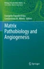 Matrix pathobiology and angiogenesis image