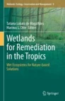 Wetlands for remediation in the Tropics image