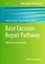 Base excision repair pathway image