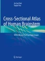 Cross-sectional atlas of human brainstem image
