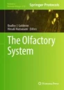 The olfactory system圖片