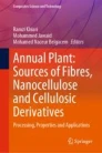 Annual plant : sources of fibres, nanocellulose and cellulosic derivatives : processing, properties and applications圖片