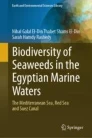 Biodiversity of seaweeds in the Egyptian marine waters image