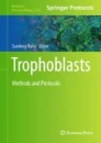 Trophoblasts : methods and protocols image
