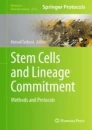 Stem cells and lineage commitment : methods and protocols image
