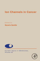 Ion channels in cancer image