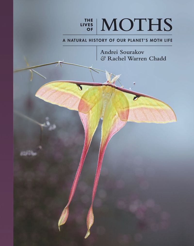 The Lives of Moths: A Natural History of Our Planet