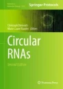 Circular RNAs image