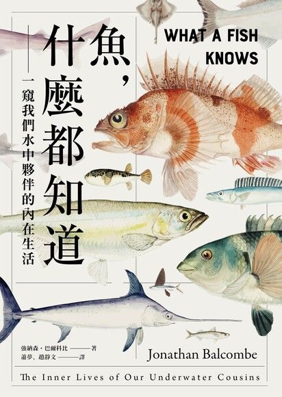 魚, 什麼都知道 : 一窺我們水中夥伴的內在生活圖片