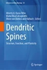 Dendritic spines image