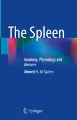 The spleen image