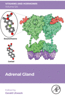Adrenal gland image
