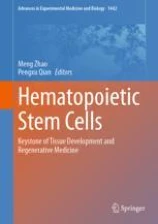 Hematopoietic stem cells image