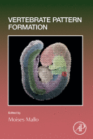 Vertebrate Pattern Formation image