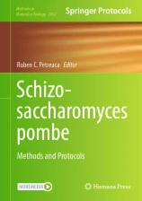 Schizosaccharomyces pombe : methods and protocols image