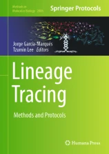 Lineage Tracing image