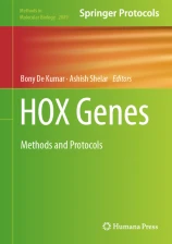 HOX Genes image