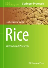 Rice : methods and protocols圖片