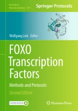 FOXO transcription factors : methods and protocols圖片