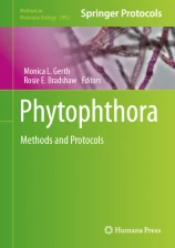 Phytophthora圖片