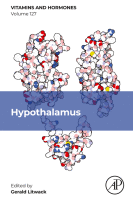 Hypothalamus image