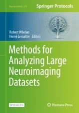 Methods for analyzing large neuroimaging datasets  image