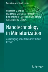 Nanotechnology in Miniaturization image