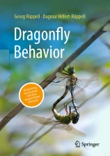Dragonfly Behavior image