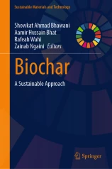Biochar圖片