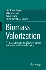 Biomass Valorization圖片
