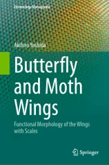 Butterfly and Moth Wings圖片