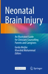 Neonatal Brain Injury圖片