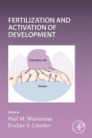 Fertilization and Activation of Development圖片