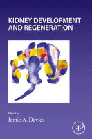 Kidney Development and Regeneration圖片