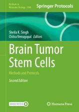Brain Tumor Stem Cells圖片