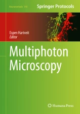 Multiphoton Microscopy圖片
