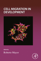 Cell Migration in Development image