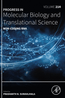 Non-coding RNA image