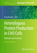 Heterologous Protein Production in CHO Cells image