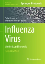 Influenza Virus image