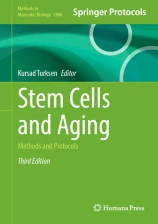 Stem Cells and Aging
 image