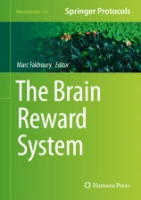 The Brain Reward System圖片